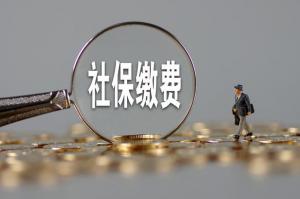 不同類型的企業(yè)和個人如何享受社保費減免優(yōu)惠？